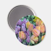 Steek van kleurrijke tulpen magneet (Voorkant / Achterkant)