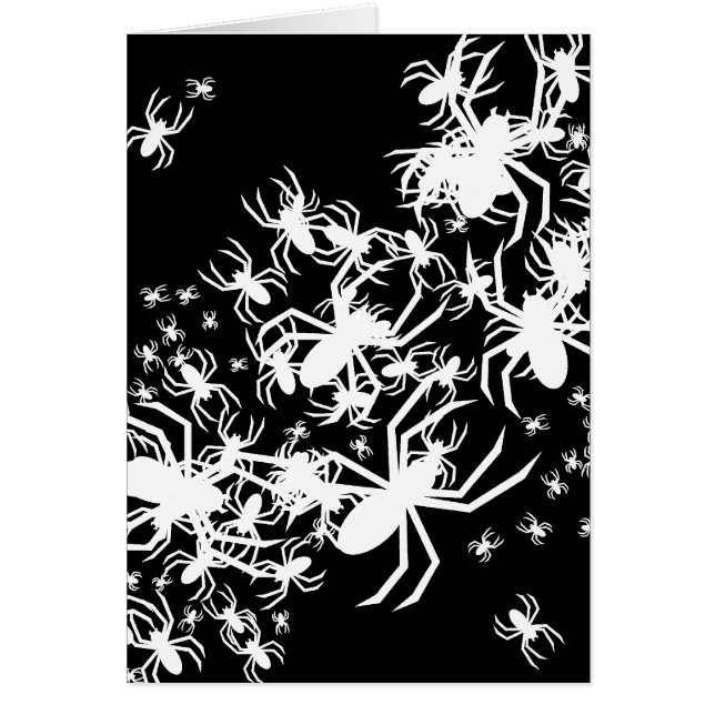 Steek van spinnen (Voorkant)