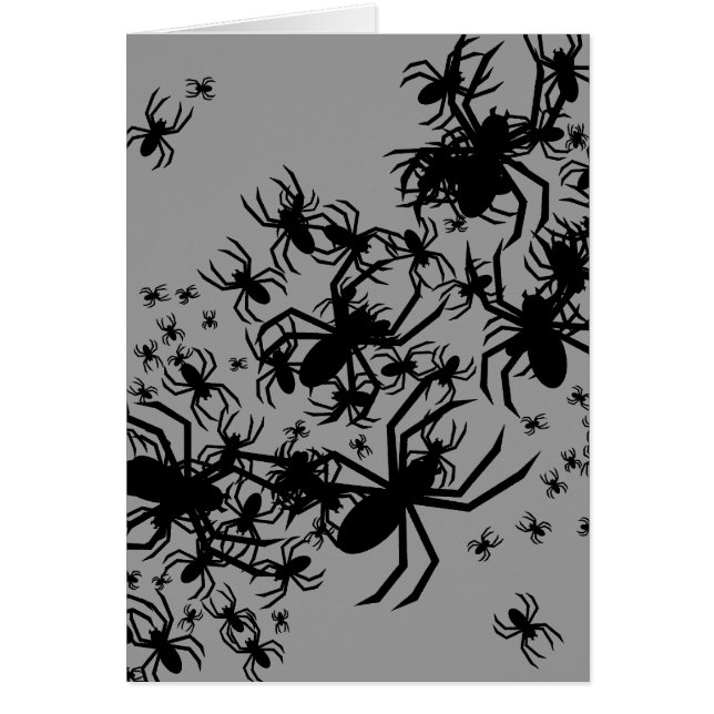 Steek van spinnen (Voorkant)