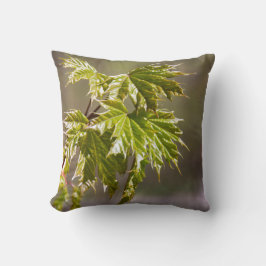 Steekgroene appelvertakking met kleine bladeren kussen