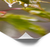 Steekgroene appelvertakking met kleine bladeren perfect poster (Hoek)