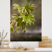 Steekgroene appelvertakking met kleine bladeren poster (Keuken)