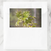 Steekgroene appelvertakking met kleine bladeren rechthoekige sticker (Tas)
