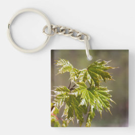 Steekgroene appelvertakking met kleine bladeren sleutelhanger