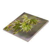 Steekgroene appelvertakking met kleine bladeren tegeltje (Zijkant)