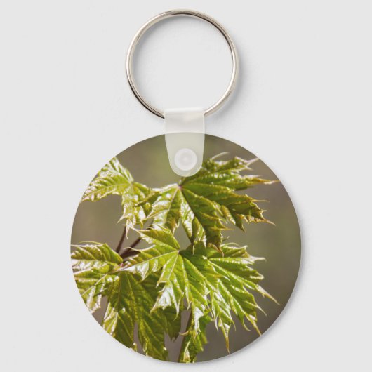 Steekgroene teeltak met kleine bladeren sleutelhan sleutelhanger (Voorkant)