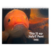 Steekproef 2013 kalender (Hoes)