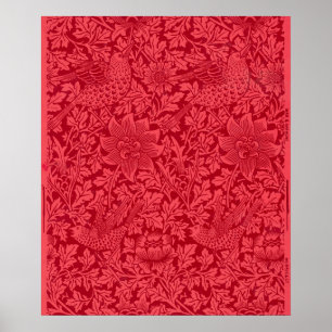 Steekproef van vogel, Anemone Wallpaper door Morri Poster