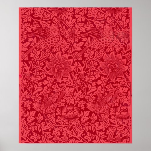 Steekproef van vogel, Anemone Wallpaper door Morri Poster (Voorkant)