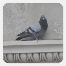 Steekproef Vierkante Sticker