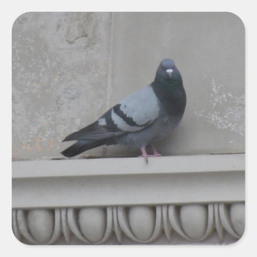 Steekproef Vierkante Sticker (Voorkant)