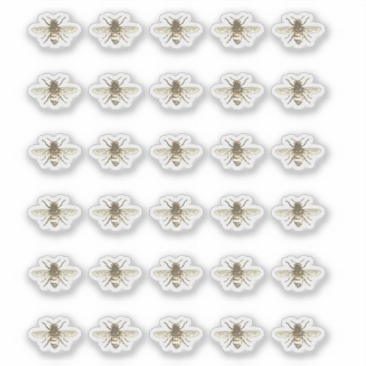 Steekproeven van de imker van Honeybee Sticker (Voorkant)