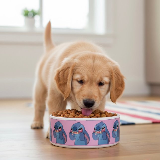 steekschaal voerbakje (Creator heeft geüpload)