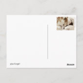 steekt een voxgirl op briefkaart (Achterkant)