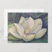 Steel Magnolia Briefkaart (Voorkant / Achterkant)