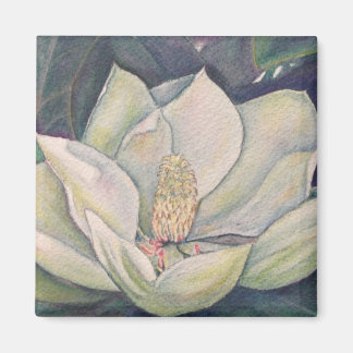 Steel Magnolia Magneet