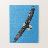 Steelaarend in vlucht legpuzzel (Verticaal)