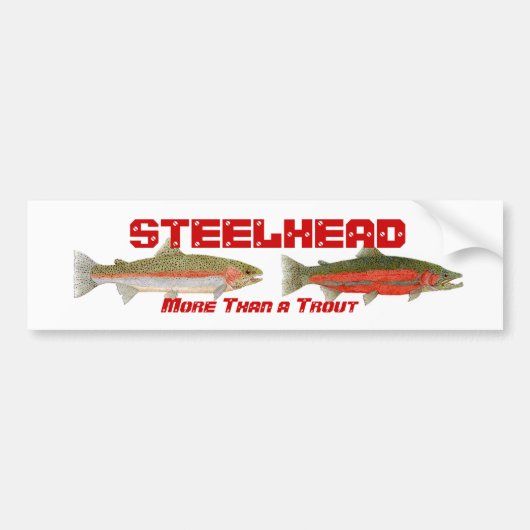 Steelhead-Bumpersticker Bumpersticker (Voorkant)