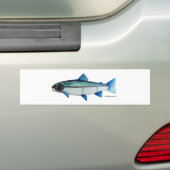 Steelhead-forel; Bumpersticker (Op auto)
