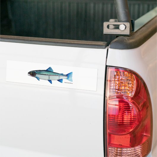 Steelhead-forel; Bumpersticker (Op Truck)