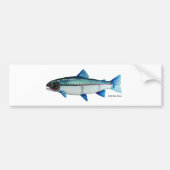 Steelhead-forel; Bumpersticker (Voorkant)