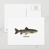 Steelhead (Grote Meren) Briefkaart (Voorkant / Achterkant)