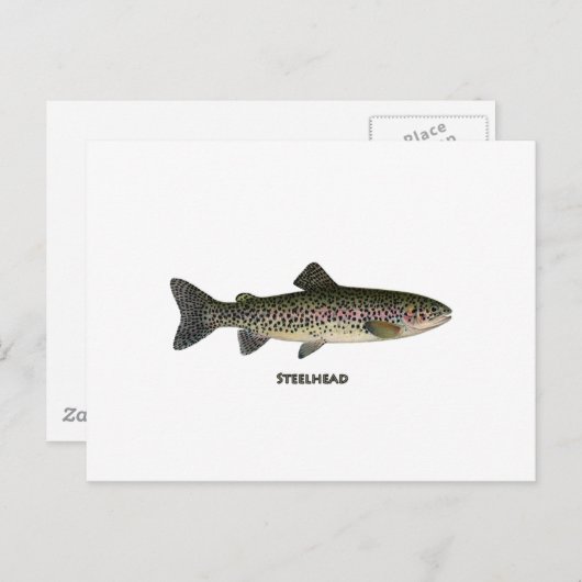 Steelhead (Grote Meren) Briefkaart (Voorkant / Achterkant)