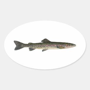 Steelhead (Grote Meren) Ovale Sticker