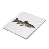 Steelhead (Grote Meren) Tegeltje (Zijkant)
