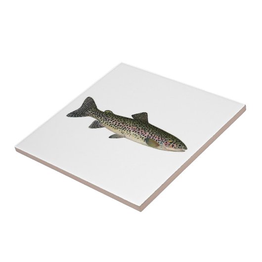 Steelhead (Grote Meren) Tegeltje (Zijkant)