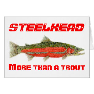Steelhead- Meer dan een forelkaart