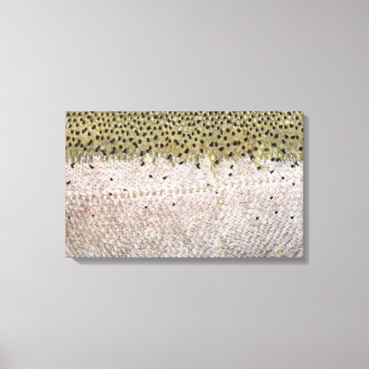 Steelhead op Canvas Afdruk (Voorkant)