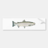 Steelhead Rainbow Trout Bumpersticker (Voorkant)