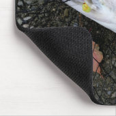 Steelhead Rainbow Trout Fly Fishing Muismat (Hoek)