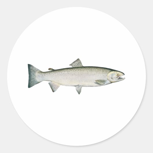 Steelhead Rainbow Trout Ronde Sticker (Voorkant)
