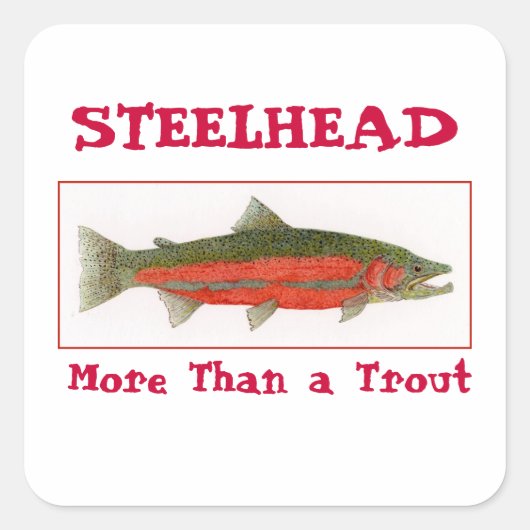 Steelhead Sticker (Voorkant)