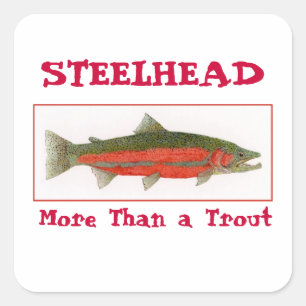 Steelhead Sticker