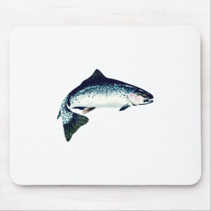 Steelhead Swimming Muismat