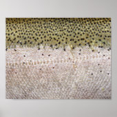 Steelhead Trout Poster (Voorkant)