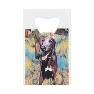 Steely Creditkaart Flessenopener