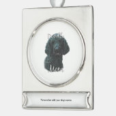 Steen (blk) Mam 2 Verzilverd Banner Ornament (Links)