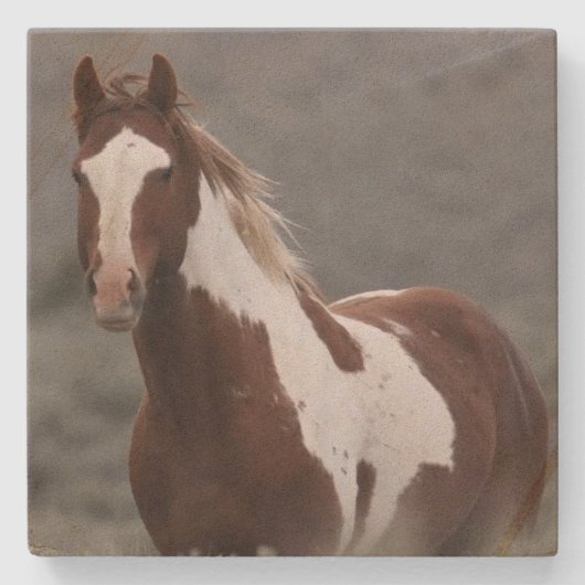 Steen coaster_pinto stenen onderzetter (Voorkant)