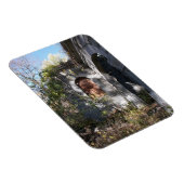 Steen en steen magneet (Rechterzijde)