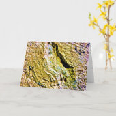 Steen, kaart (Gele Bloem)