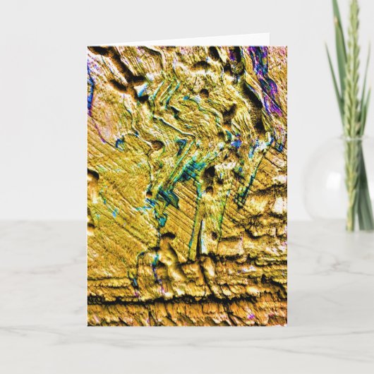 Steen, kaart (Voorkant)