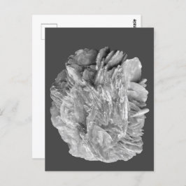 Steen | Nieuw Uitzicht | Twee toonlagen | Briefkaart