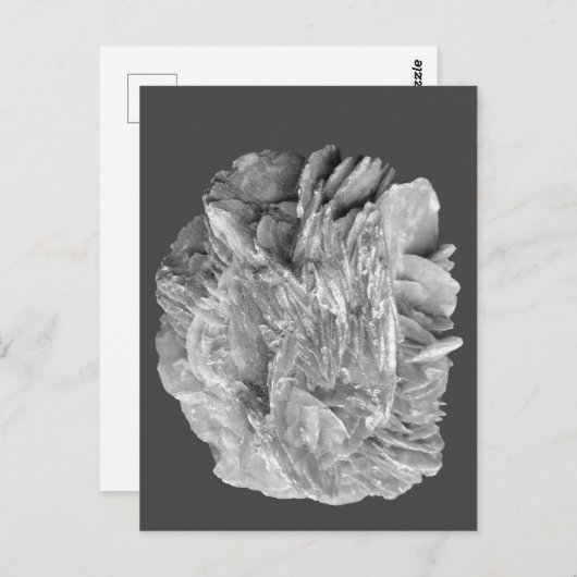 Steen | Nieuw Uitzicht | Twee toonlagen | Briefkaart (Voorkant / Achterkant)