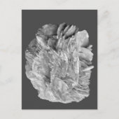 Steen | Nieuw Uitzicht | Twee toonlagen | Briefkaart (Voorkant)