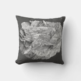 Steen | Nieuw Uitzicht | Twee toonlagen | Kussen