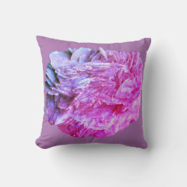 Steen | Nieuw Uitzicht | Twee toonlagen | Kussen